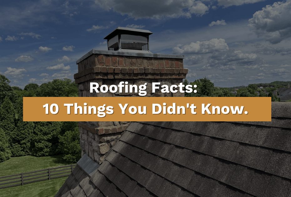 Roofline and brick chimney under a blue sky with the article title “Roofing Facts: 10 Things You Didn't Know” overlaid on the image, representing a featured blog post by Five Points Roofing.
