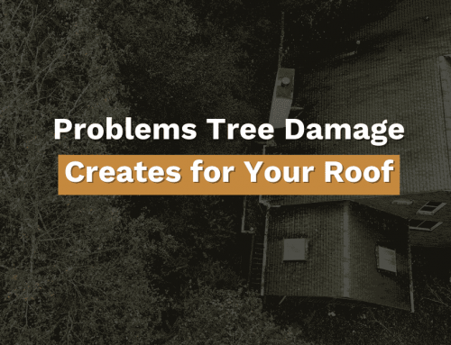 Four Problems Trees Create for Your Roof