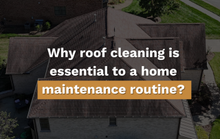 roof cleaning maintenance