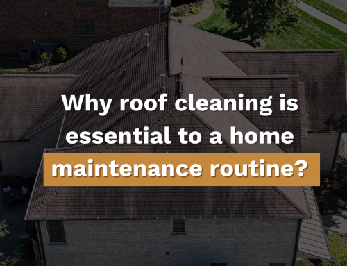 Why Roof Cleaning is Essential for Home Maintenance