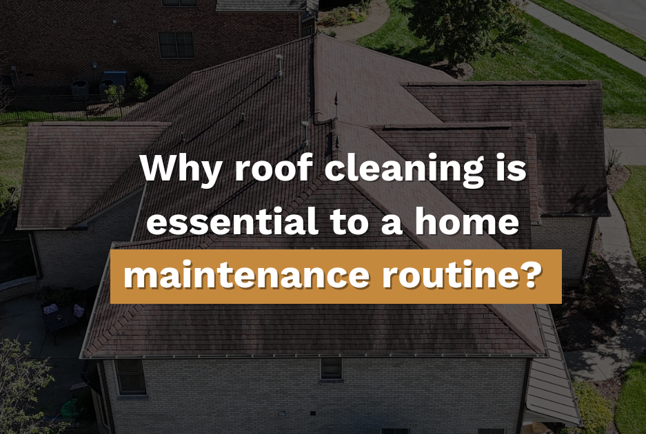 roof cleaning maintenance