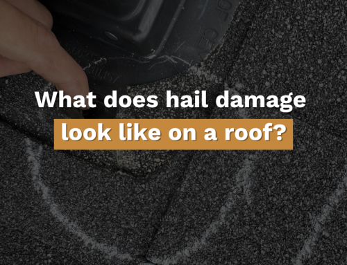 What Does Hail Damage Look Like on a Roof?