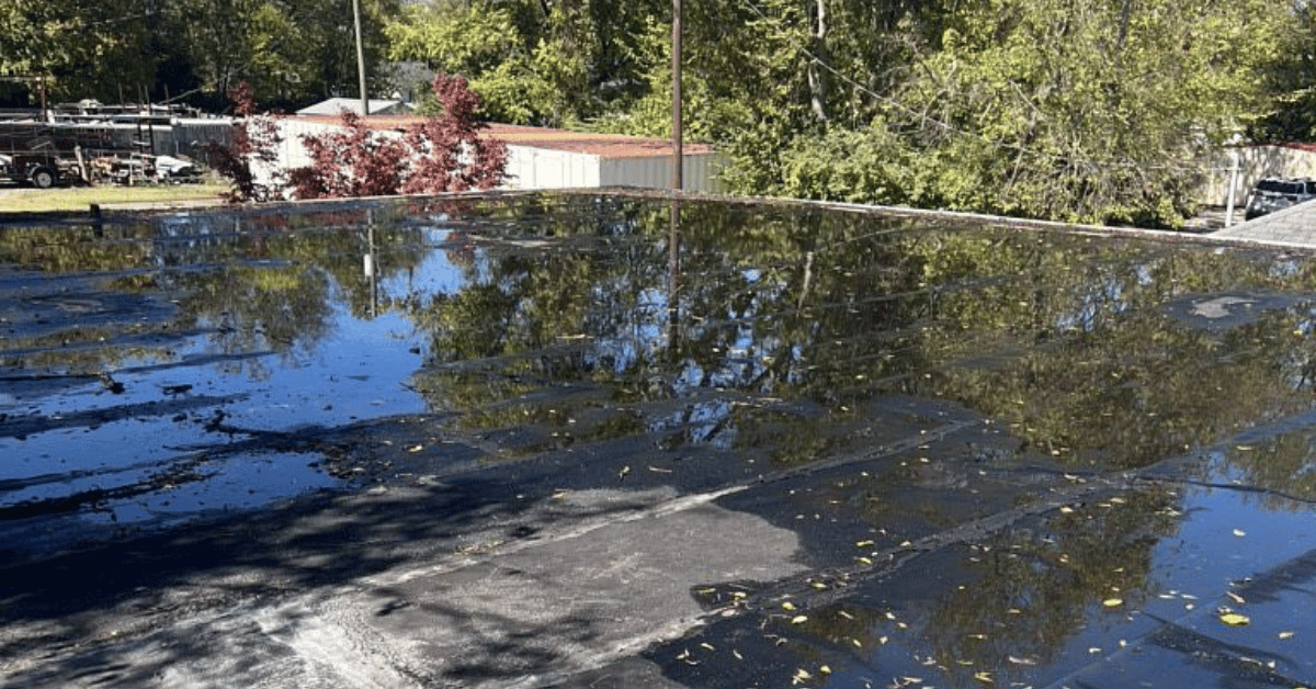 A flat roof with noticeable ponding water reflecting nearby trees, highlighting drainage issues and potential damage risks.