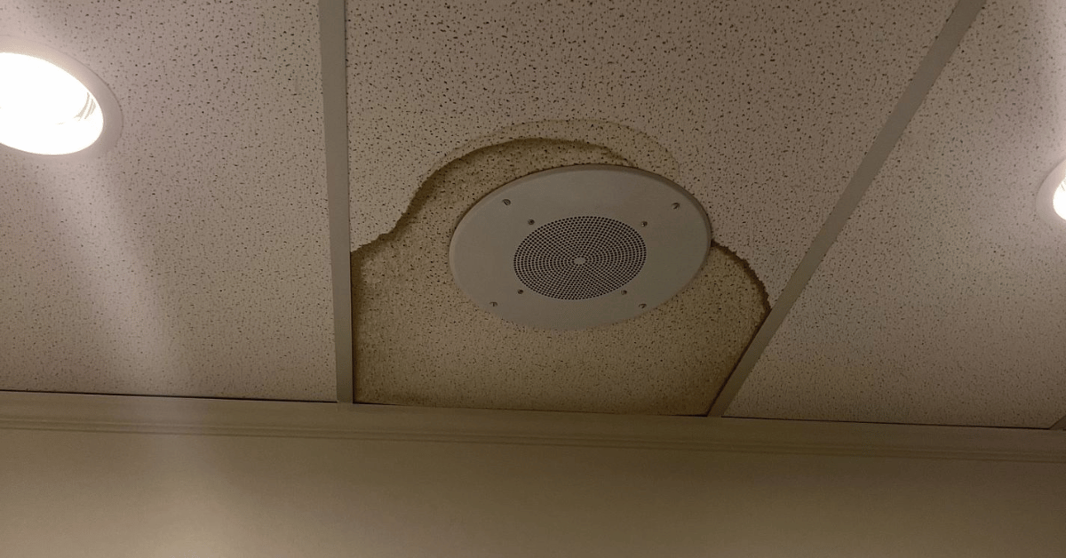 A large water stain around a ceiling-mounted speaker in a home.