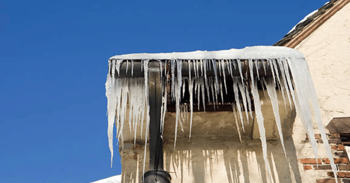 A frozen downspout with icicles hanging from a snow-covered roofline.
