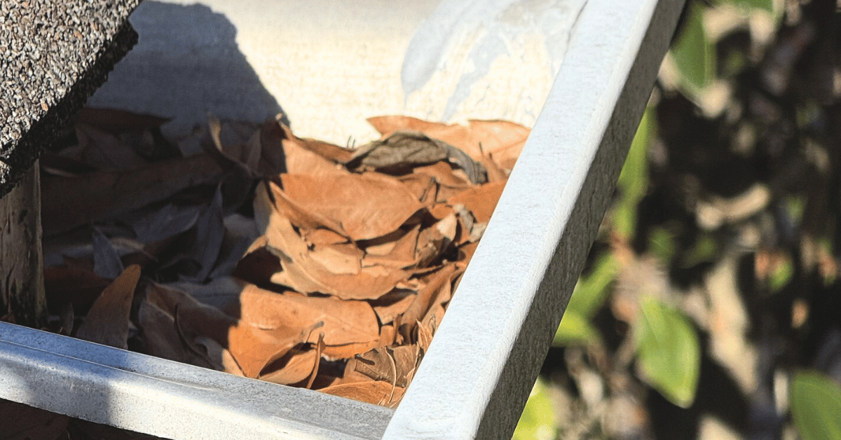 A close-up view of a corner gutter filled with brown, dried leaves.