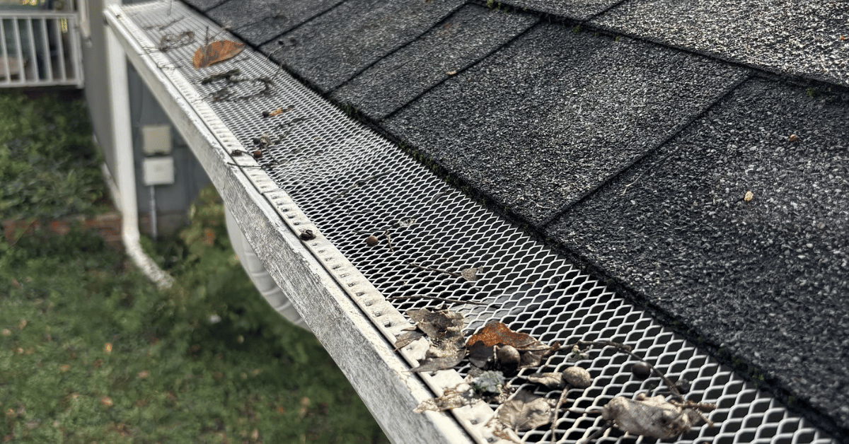 A mesh-covered gutter with small amounts of debris resting on top.