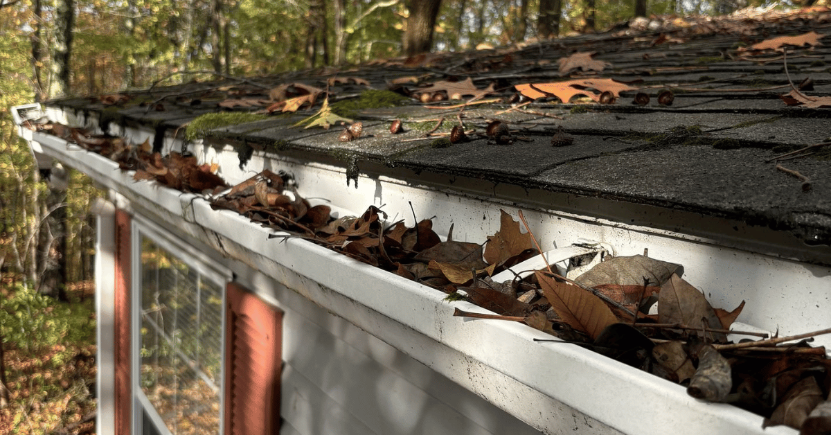 A roofline with gutters full of leaves and small debris during fall.