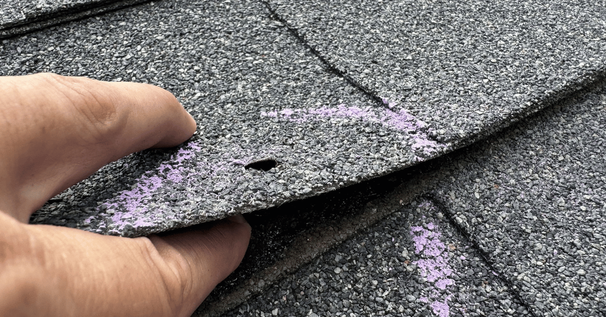 A close-up of a shingle with visible hail damage, marked with purple chalk for inspection.