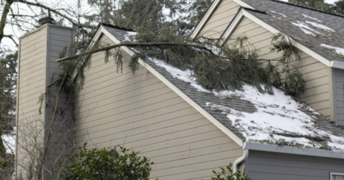 A fallen tree branch on a snow-covered roof.