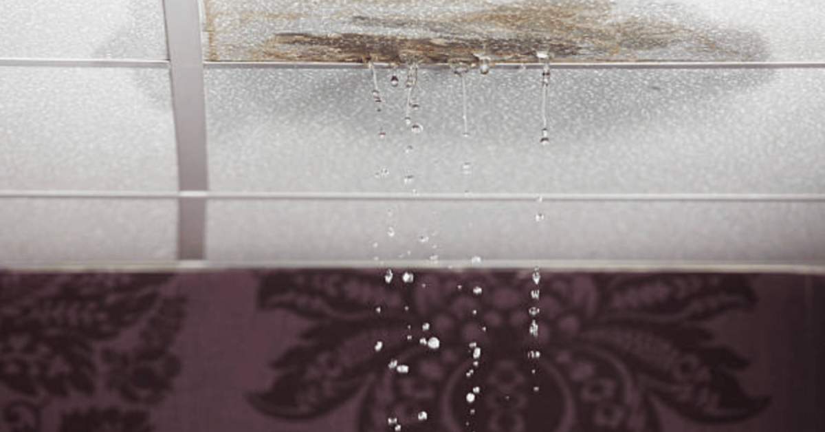 Water leaking through a damaged ceiling with visible stains.