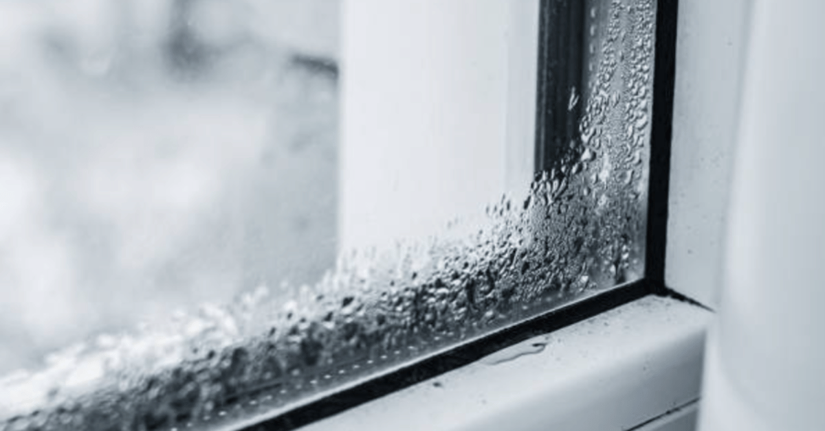 A close-up of a window with condensation buildup, indicating potential roof ventilation or insulation issues.