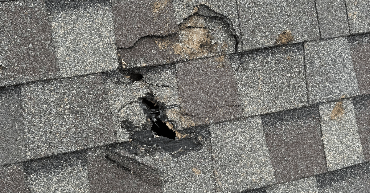Close-up of hail damage on an asphalt shingle roof, showing granule loss and a puncture in the roof.