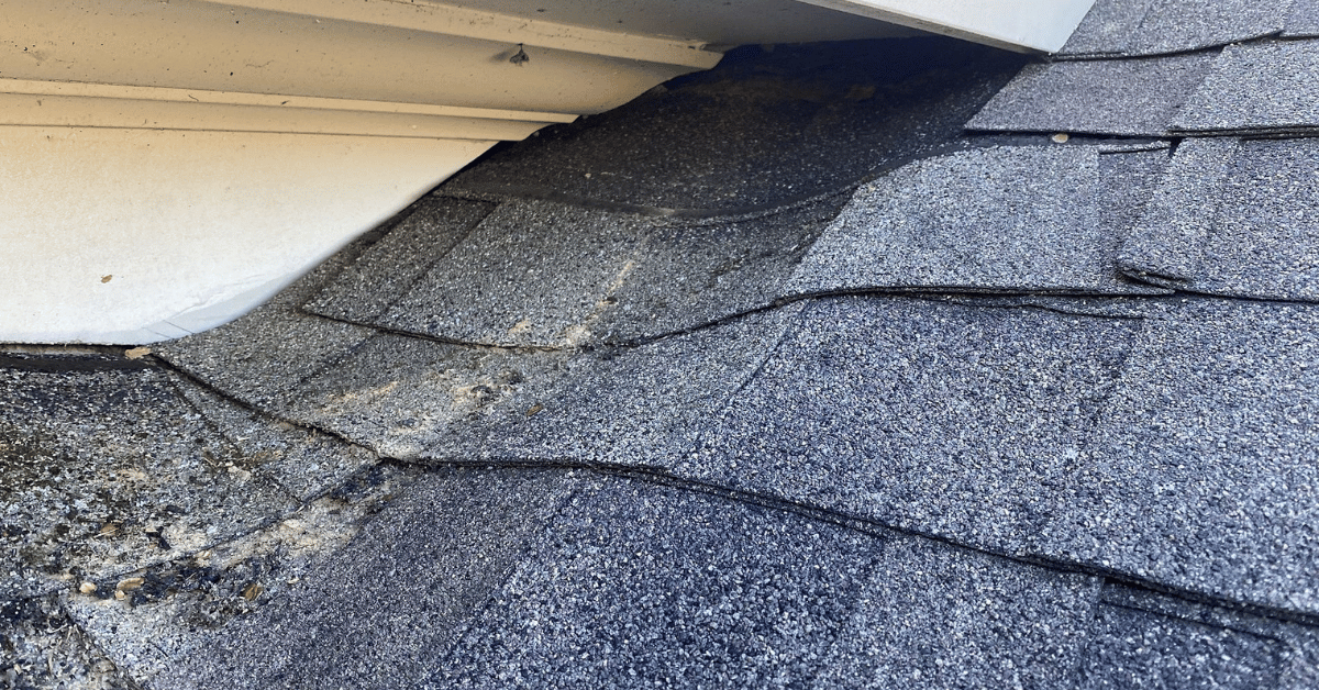 Roof edge with water damage and shingles curling upward, indicating prolonged exposure to moisture.
