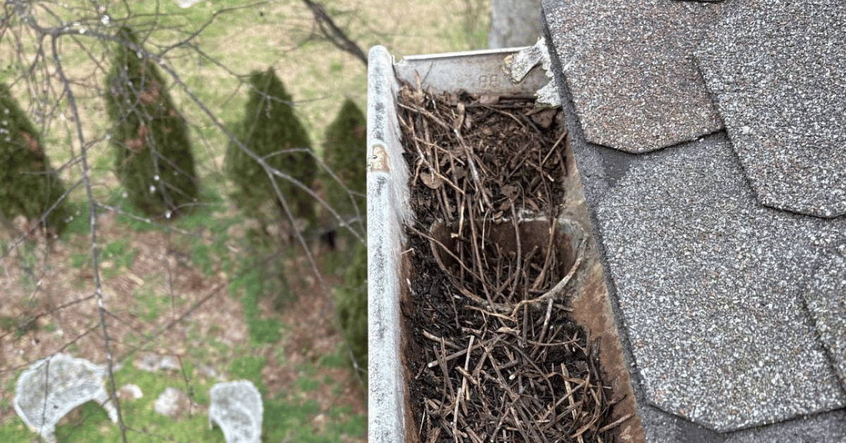 A clogged gutter filled with leaves, twigs, and dirt.