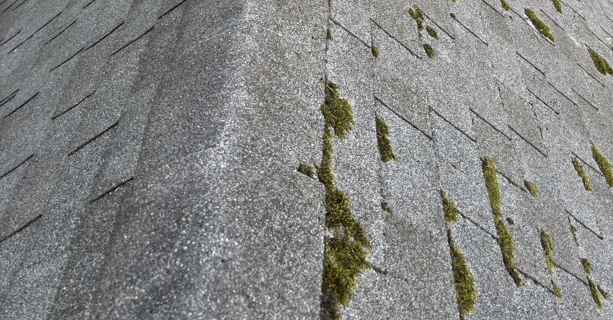 A close-up of a roof with visible moss growing along the shingles.
