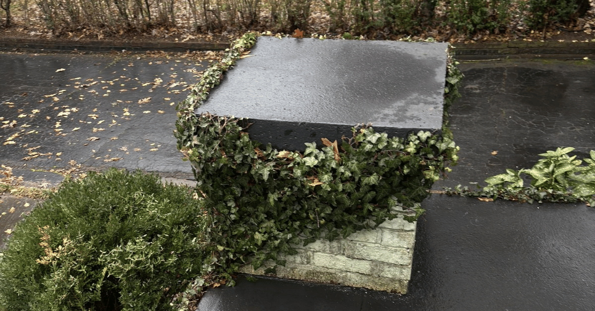 A chimney covered in ivy, with wet spots on the surface.