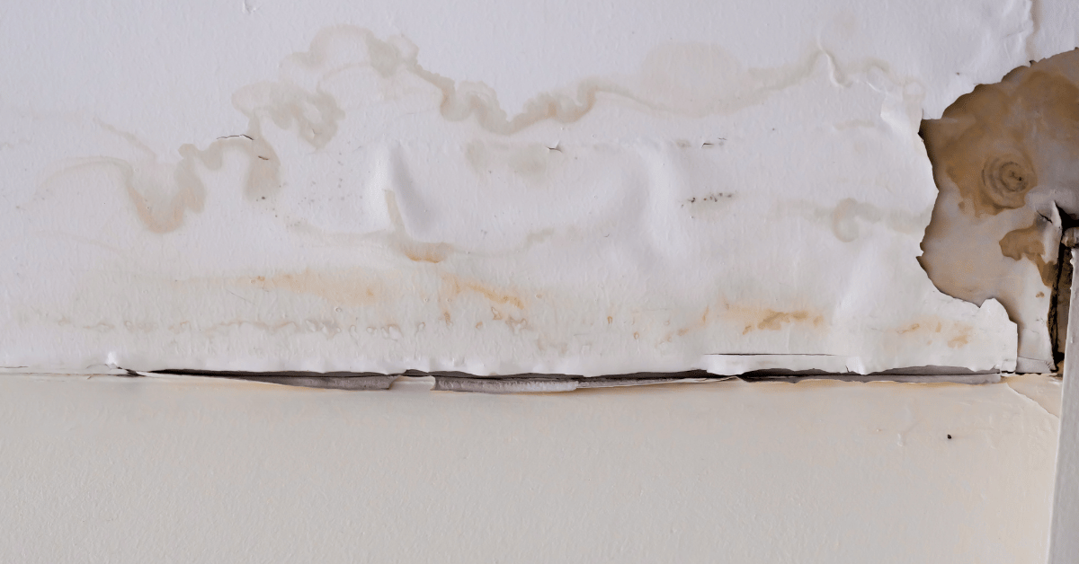 A close-up of peeling and stained paint due to extensive water damage.
