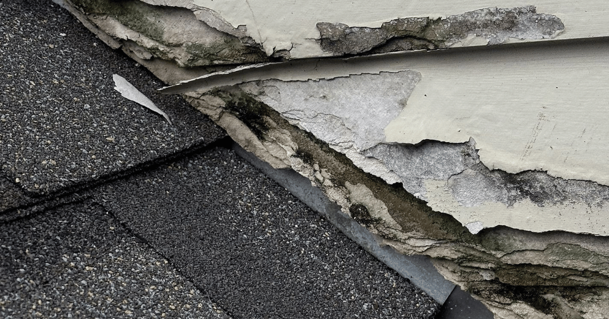 A close-up of peeling paint and mold growth on the side of a house near the roof due to water damage.