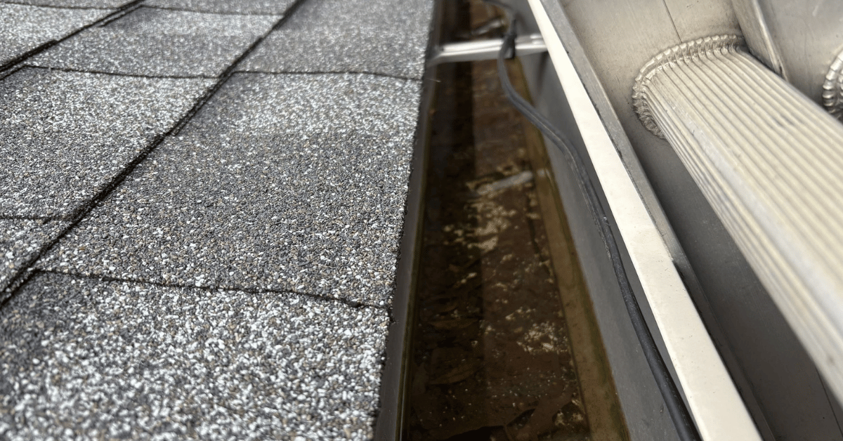 Roof with shingle overhang above a gutter filled with debris