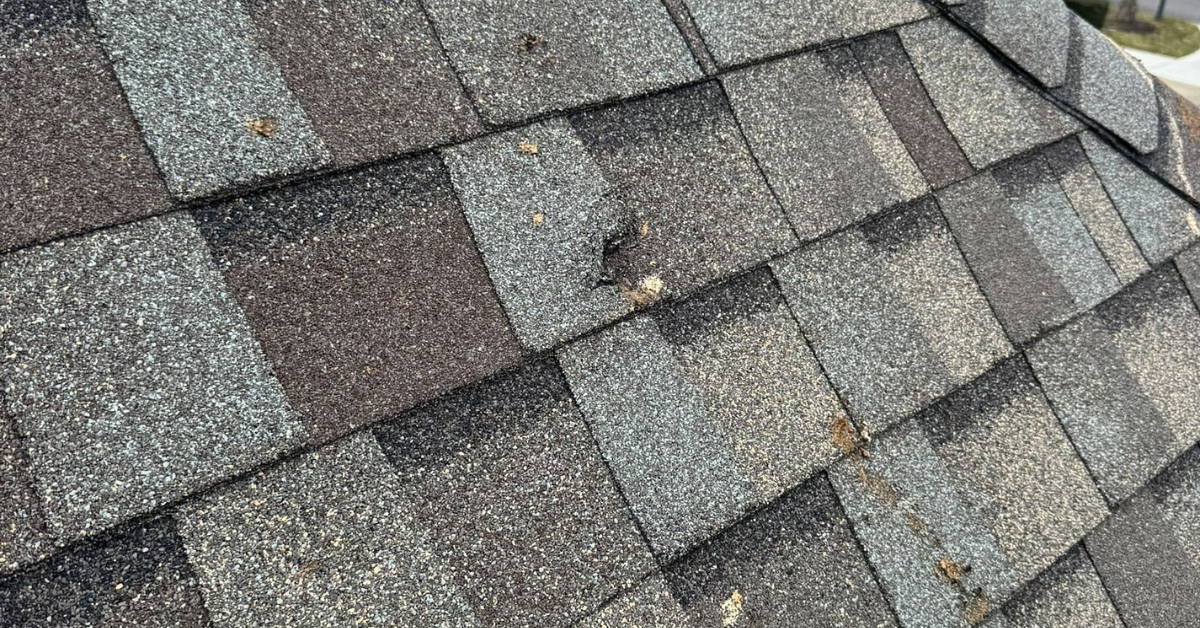 A close-up of damaged asphalt shingles with a visible impact mark.