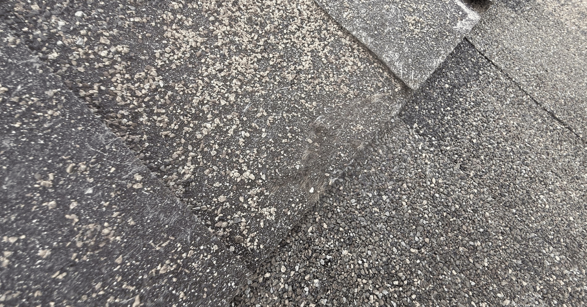 Roof shingles with curled and lifting edges