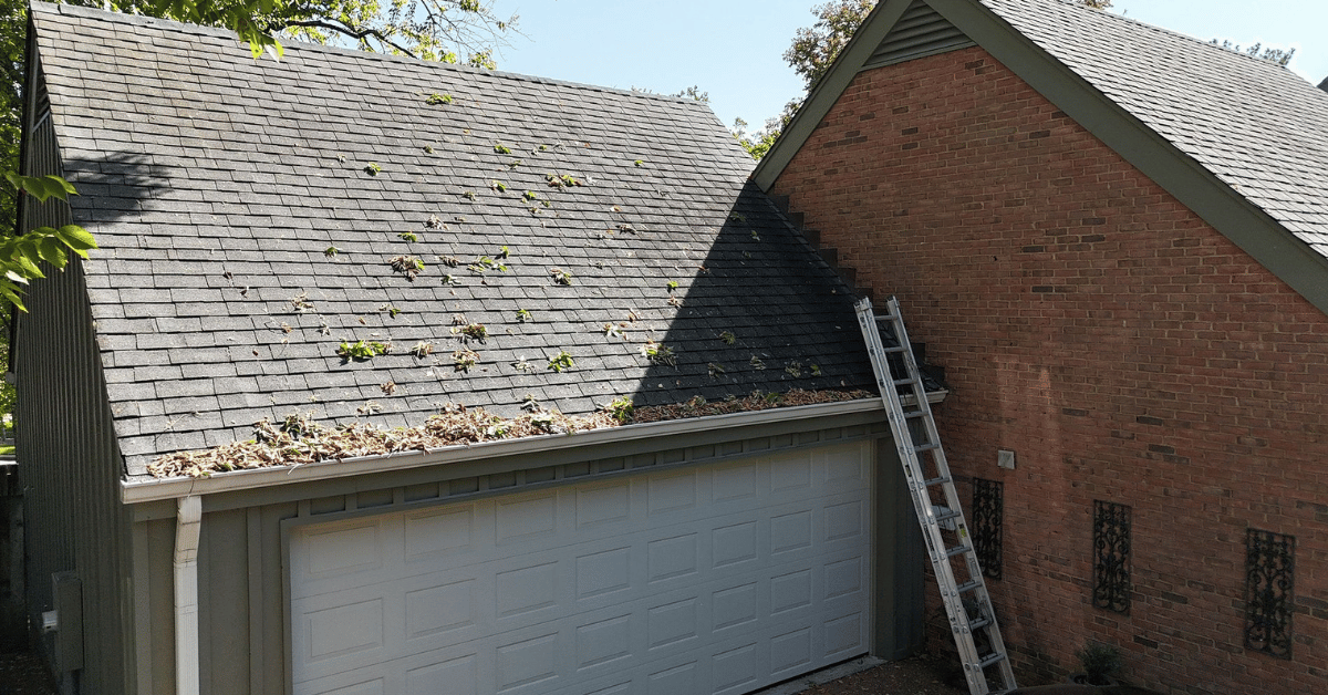 A house with an asphalt shingle roof covered in leaves and debris, with a ladder leaning against the side.