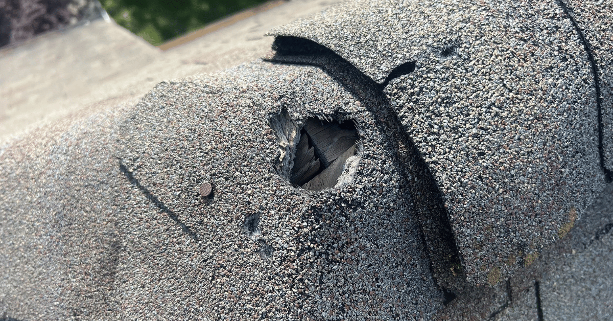 Torn shingle on roof ridge exposing wood decking, likely caused by storm damage or fallen debris, requiring immediate repair.