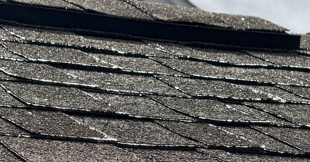 Front view of a two-story house in Franklin, TN showcasing a healthy asphalt shingle roof under clear summer skies.
