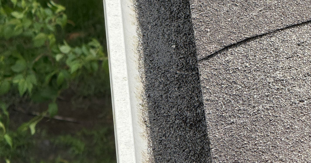 Gutter filled with loose asphalt granules, a clear indicator of roof aging or UV-related shingle breakdown.