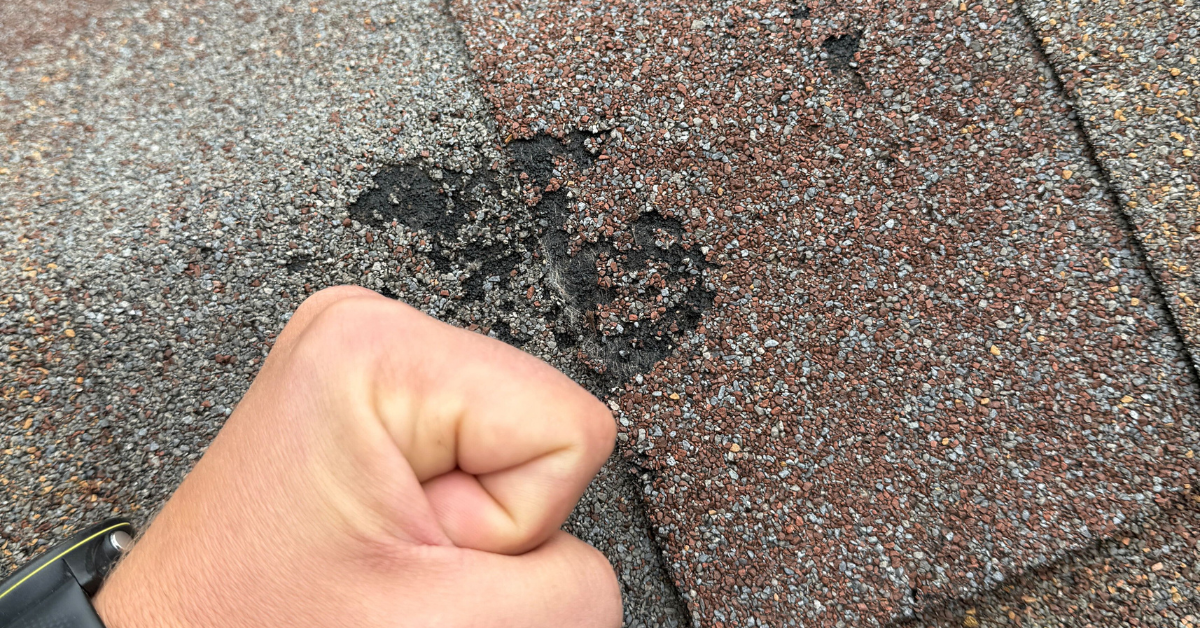 Close-up of hail impact on asphalt shingles showing granule loss and bruising after Middle Tennessee storm