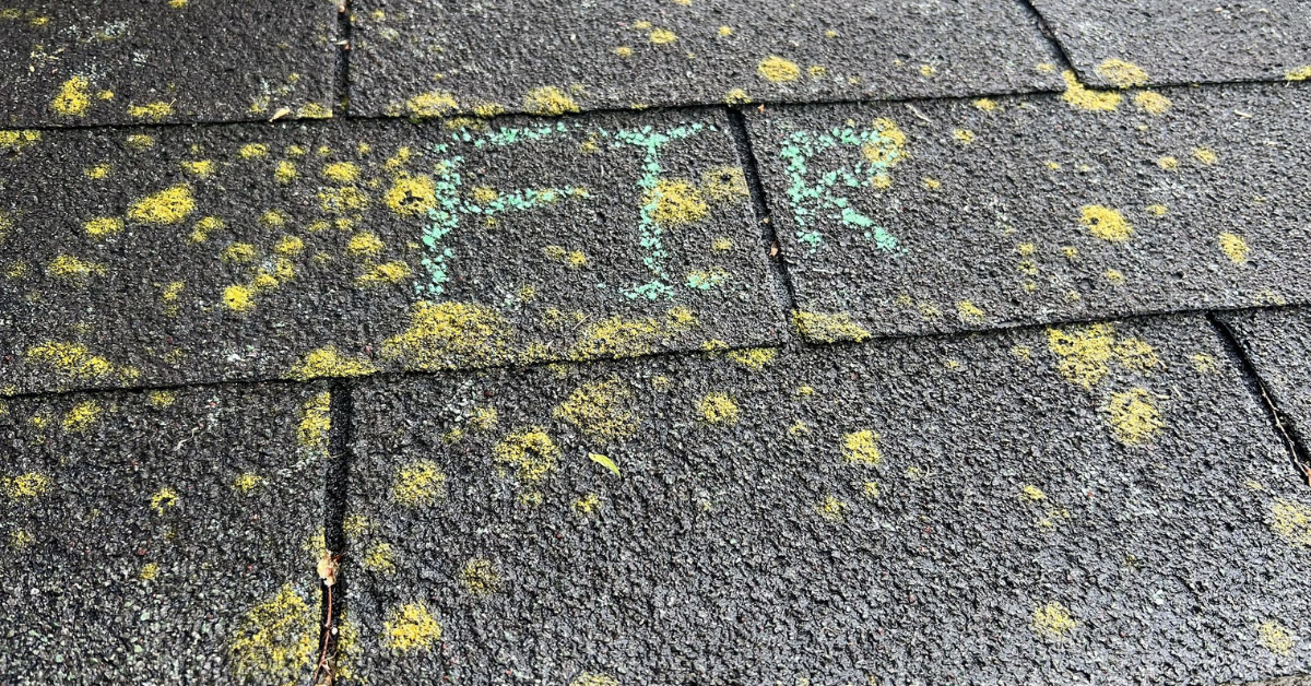 Asphalt shingles with visible moss and algae growth, increasing the risk of moisture retention and decay.