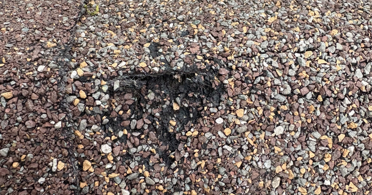 Damaged asphalt shingle with granules knocked off from hail, revealing the black waterproof layer underneath.