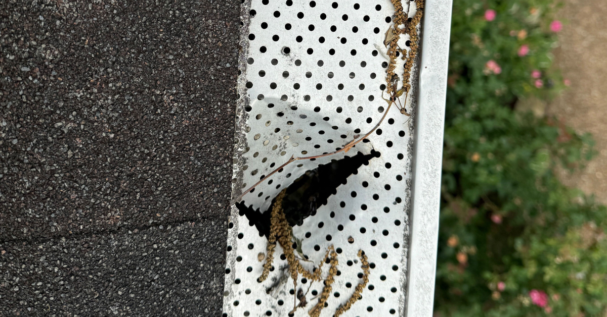 A punctured metal gutter cover, visibly damaged from hail, a warning sign of potential roof issues.