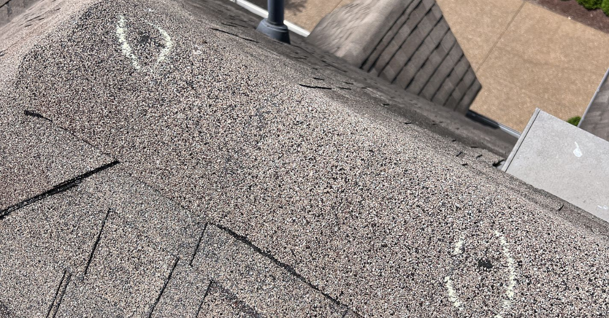 Chalk-marked hail strikes on ridge cap shingles, a common location where damage occurs but often goes unnoticed.