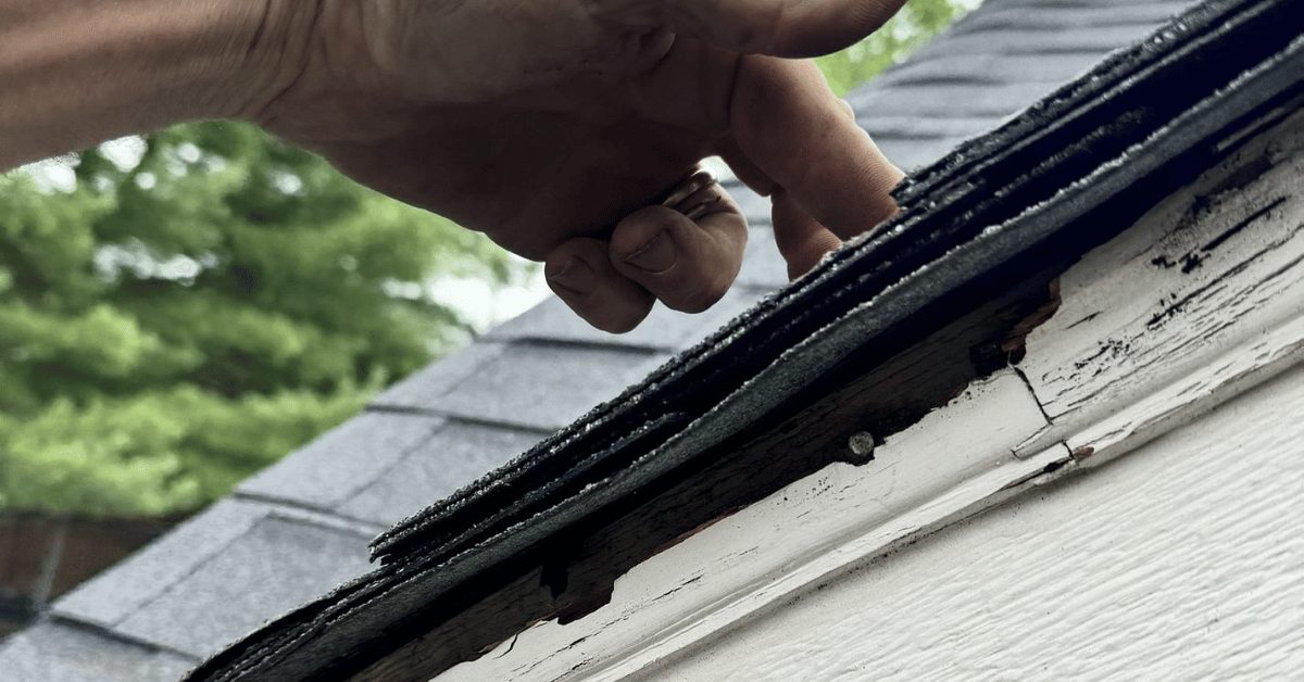Hand lifting a damaged asphalt shingle to show rotted decking and exposed nails—evidence of needed roof repair.