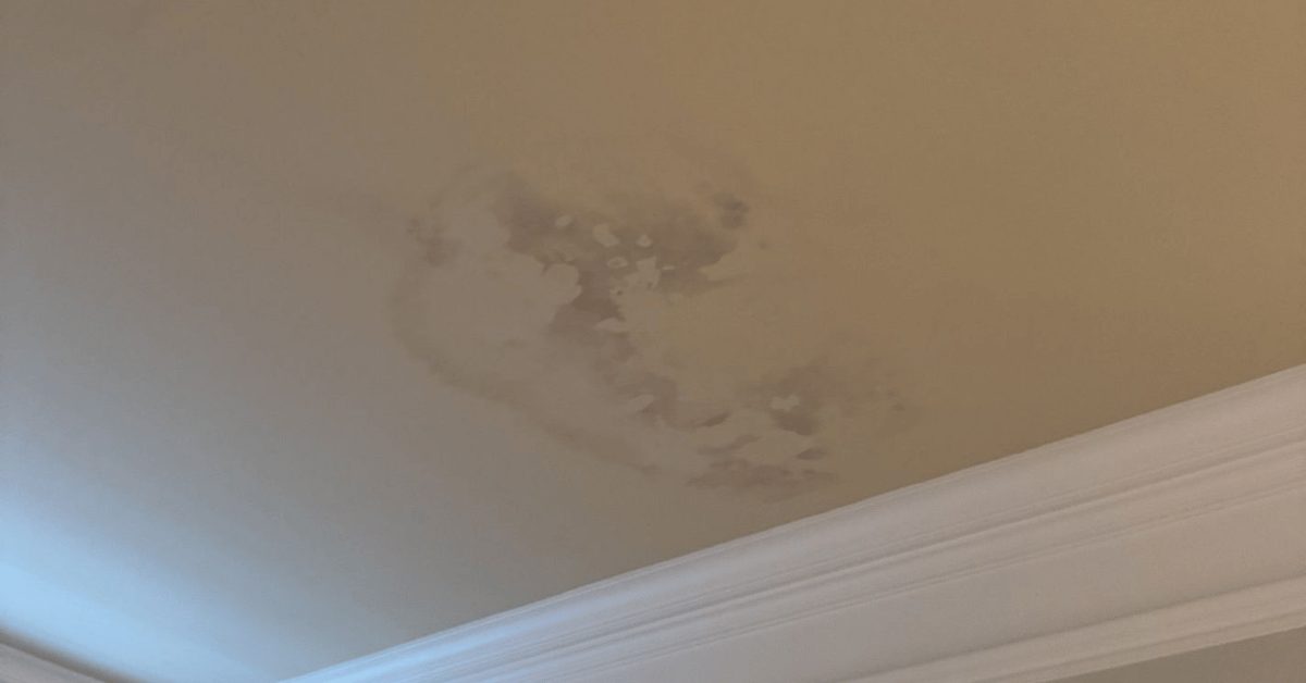 Yellow and brown water stains spreading across a ceiling due to a roof leak.