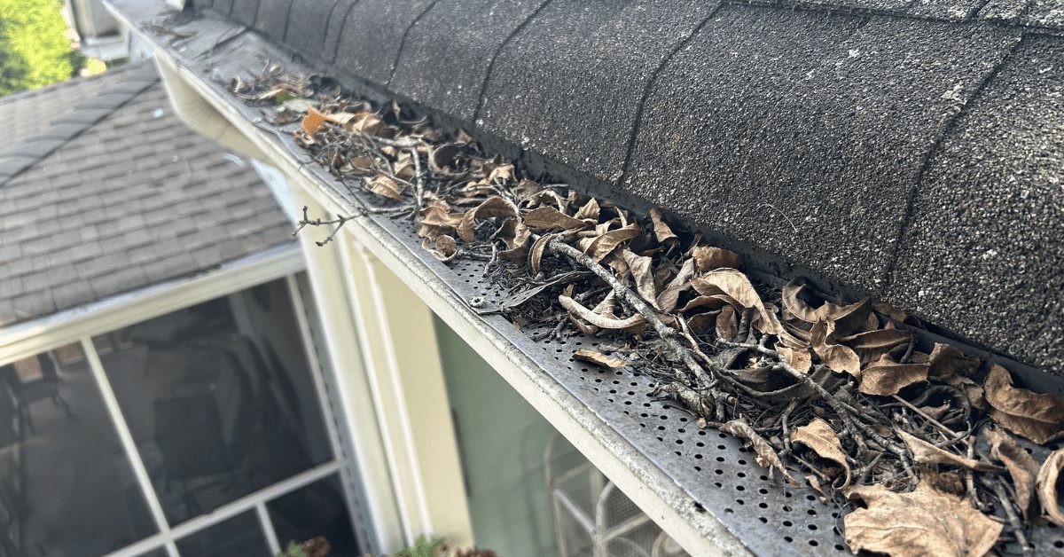 A gutter filled with dried leaves and twigs, obstructing water flow.