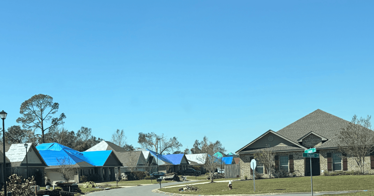 Subdivision street lined with homes covered in blue tarps after a hurricane, with debris piles at the curb