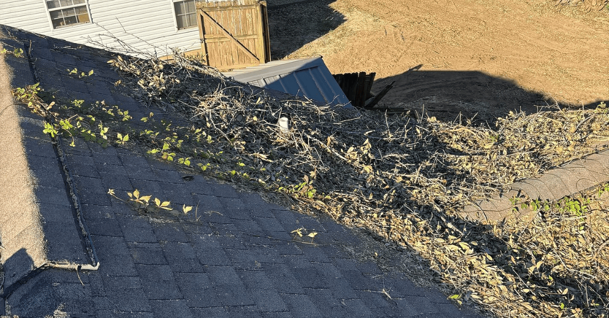 Asphalt shingle roof covered in fallen branches and leaves, with a damaged shed roof and fence below