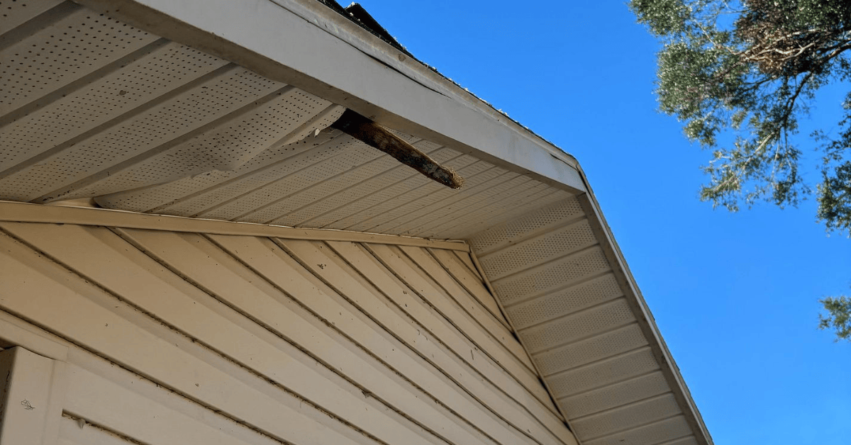 Broken tree limb punched through white vinyl soffit under the eave of a tan-sided home